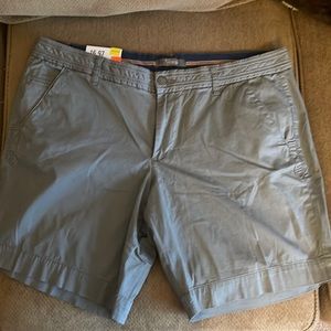 Natural Reflections Shorts